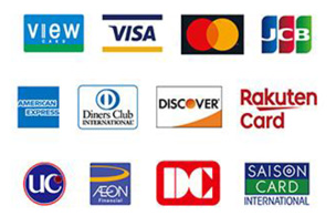 view、VISA、Mastercard、JCB、アメリカン・エキスプレス、ダイナースクラブ、ディスカバー、楽天カード、UC、AEON CARD、DCカード、セゾンカード